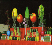 food and catering services in delhi ncr